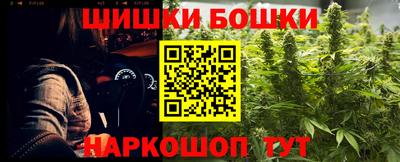 крисы Нальчик