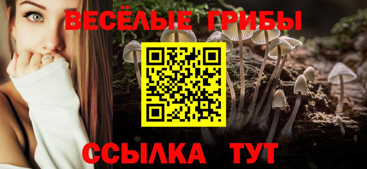 Аксай  Псилоцибиновые грибы мицелий  Вход с VPN 